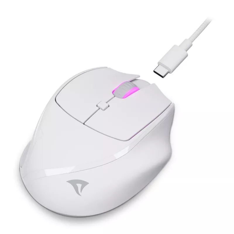 Sharkoon OfficePal M25W belaidė biuro pelė, dešinei rankai, 4000 DPI