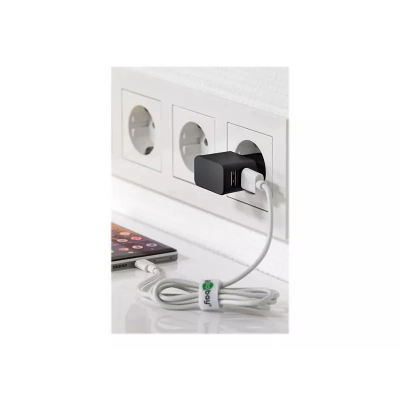 Wentronic goobay Dvigubas USB įkroviklis - Maitinimo šaltinis - 12 W - 2,4 A - 2 išvesties prievadai (USB) - Juodas (44951)
