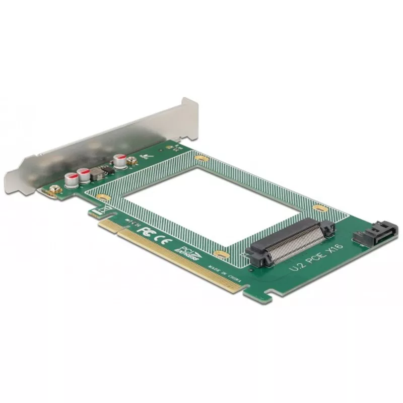Delock 90051 saugojimo diskas