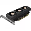ZOTAC GeForce RTX 5050 Low Profile 8GB GDDR6 vaizdo plokštė