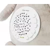Pliušinis projektoriaus žaislas milly mally Koala Projector Plush Toy modelis 5661