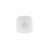 Ausinės SBOX EB-TWS538 White