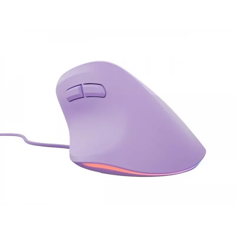 „NATEC Crake 2 Pro“ pelė universali dešiniarankė USB-A optinė 12800 DPI