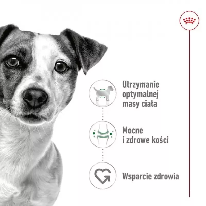 Sausas šunų maistas Royal Canin Adult Mini S 8 kg — visavertė mityba mažiems suaugusiems šunims