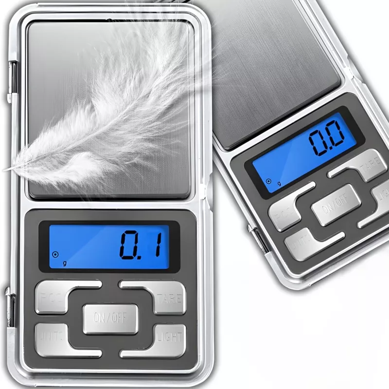 Extralink Home papuošalų svarstyklės P10 100G / 0,01G