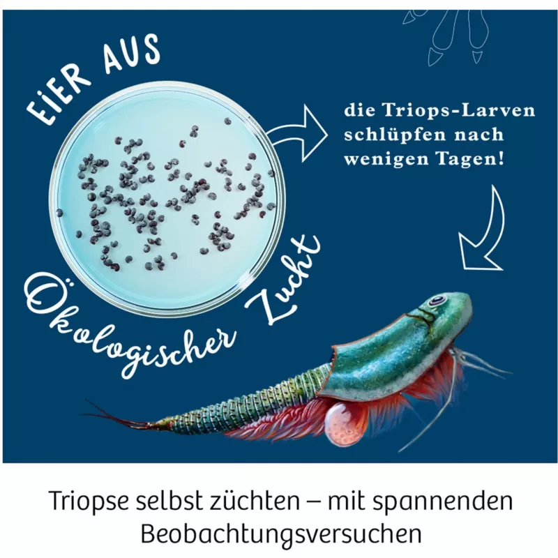 Kosmos 633073 Triops World mokslo eksperimentų rinkinys
