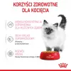 Šlapias kačių maistas Royal Canin Kitten Gravy 85 g — paukštiena, 78 % drėgmės, 12 % baltymų