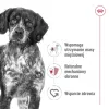 Sausas šunų maistas Royal Canin SHN Medium Adult 15 kg — visavertė mityba suaugusiems vidutinių veislių šunims, paukštiena, 25% baltymų, 14% riebalų