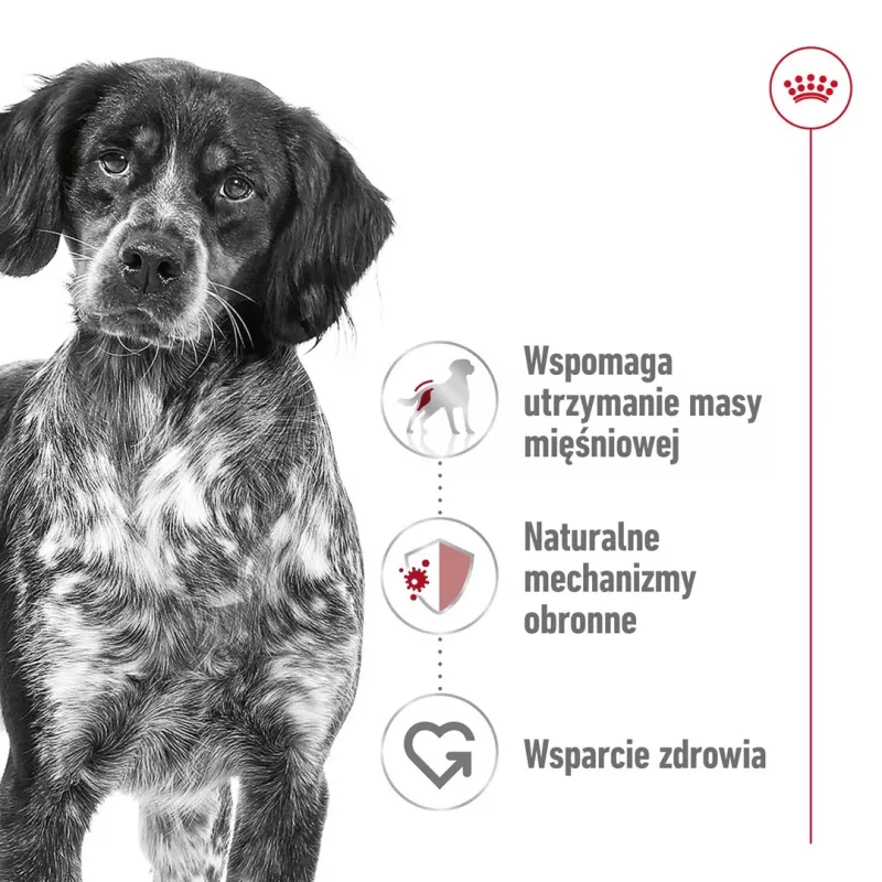 Sausas šunų maistas Royal Canin SHN Medium Adult 15 kg — visavertė mityba suaugusiems vidutinių veislių šunims, paukštiena, 25% baltymų, 14% riebalų