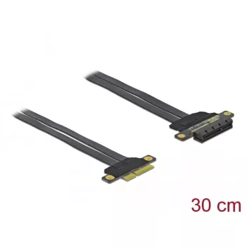 PCI Express x4 pakėlimo plokštė DeLOCK 85768