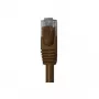 Wentronic 95893 eterneto komutacinis kabelis