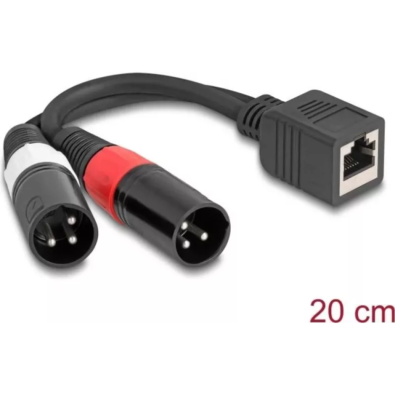 DeLOCK garso kabelis 0,2 m RJ-45 2 x XLR (3 kontaktų) juodas 88179