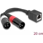 DeLOCK garso kabelis 0,2 m RJ-45 2 x XLR (3 kontaktų) juodas 88179