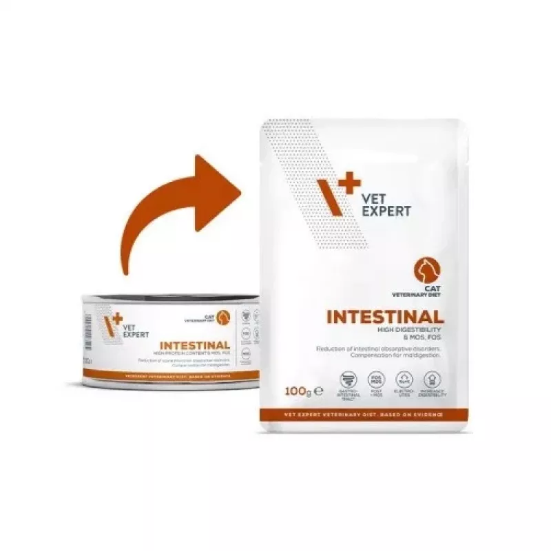 Drėgnas veterinarinis dietinis ėdalas VETEXPERT Intestinal Cat 100 g — vištiena, baltymai 38%, riebalai 20%, suaugusioms katėms, kasos nepakankamumas