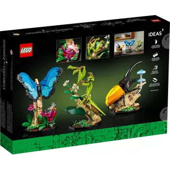 LEGO IDEAS 21342 Vabzdžių kolekcija