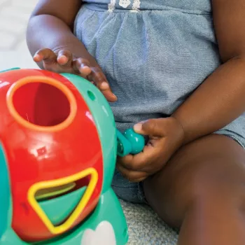 Rūšiavimo dėžutė su kaladėlėmis - Dramblys Infantino