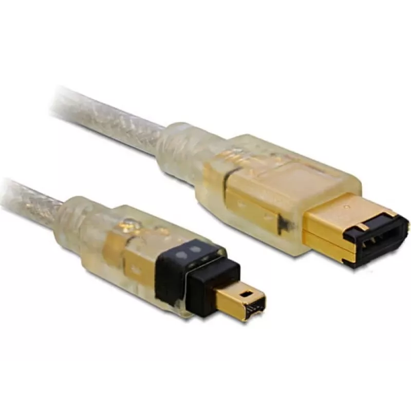 FireWire A/A laidas DeLOCK 2,0 m pilkas