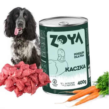 ZOYA Antis - šlapias šunų maistas - 400g