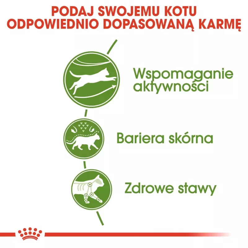 Sausas kačių maistas Royal Canin Active Life Outdoor 4 kg — suaugusioms katėms, paukštienos, 30% baltymų, 20% riebalų