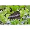 Jungiamoji jungtis Gardena 13206-20 lašeliniam laistymui Plastikinė