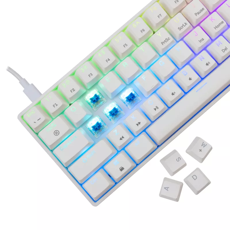Laidinė mechaninė klaviatūra White Shark Shinobi-2 (GK-004221) — mėlyni jungikliai, balta, JAV išdėstymas