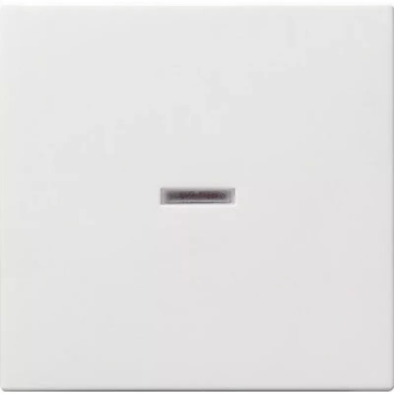 Gira 029003 tinklo įrenginys baltas