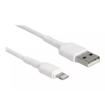 USB laidas DeLOCK 87866 skirtas iPhone, iPad, iPod 30 cm