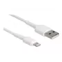 USB laidas DeLOCK 87866 skirtas iPhone, iPad, iPod 30 cm