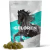 Papildas arkliams CONTIPRO GELOREN Horse HA Joints 450 g — sąnarių palaikymas su hialurono rūgštimi, kietas paketėlis