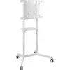Peerless mobilus vežimėlis TRVT-FLIP2 (9403109800)
