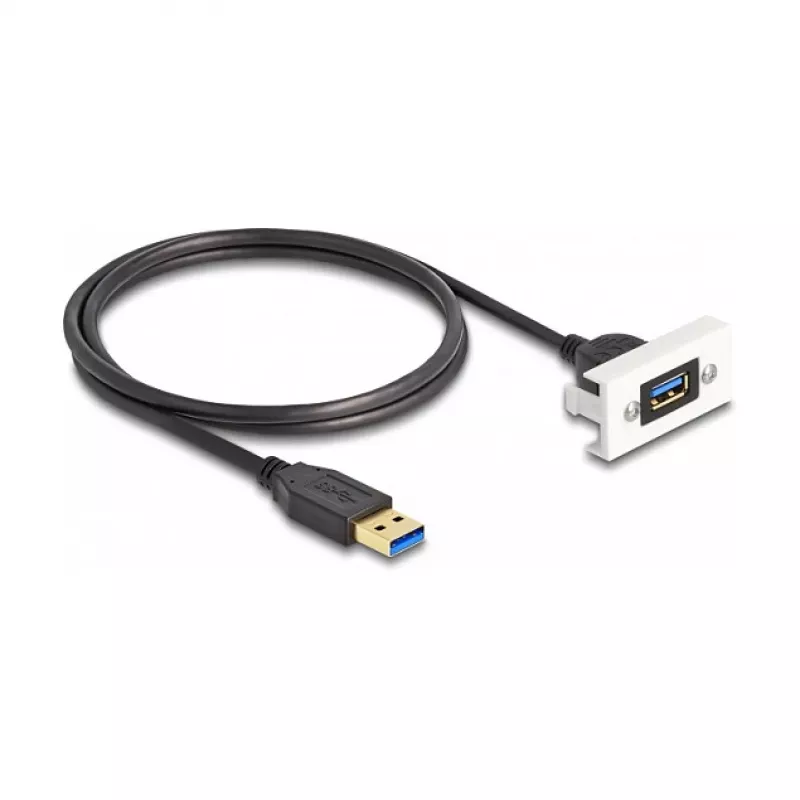 DeLOCK Easy 45 modulis SuperSpeed USB USB 3.2 Gen 1 USB Type-A moteriška į kištukinį 1m