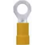 Lapp 63104070 Raudona