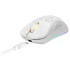Žaidimų pelė Deltaco GAM-120-W RF belaidė USB Type-C
