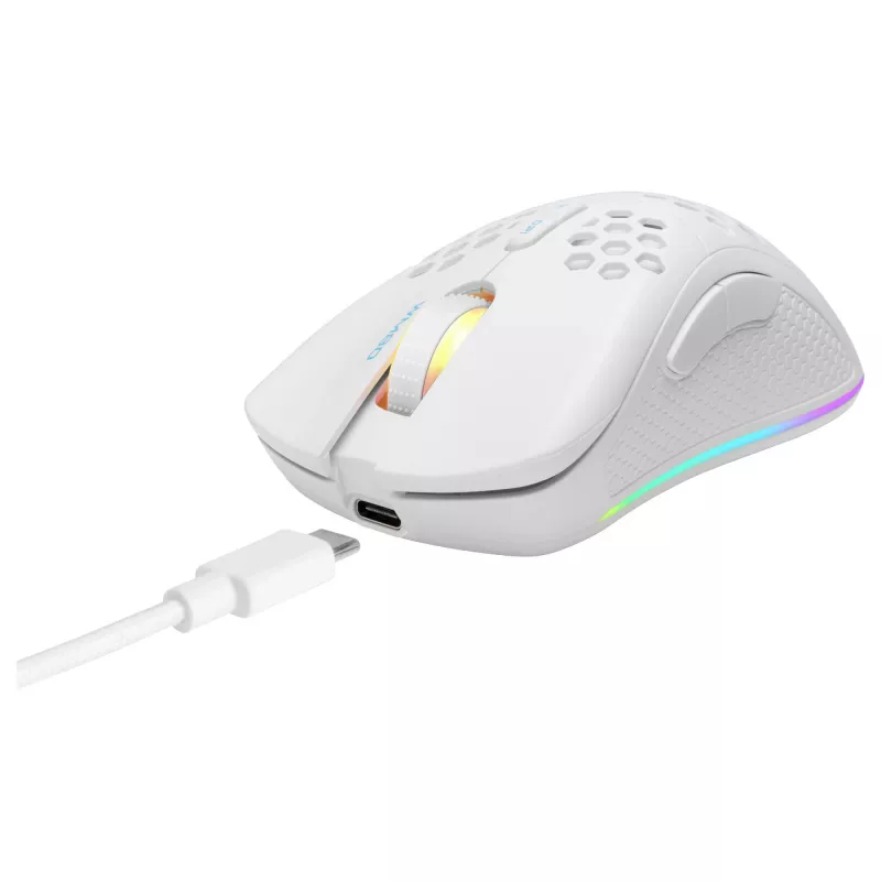 Žaidimų pelė Deltaco GAM-120-W RF belaidė USB Type-C
