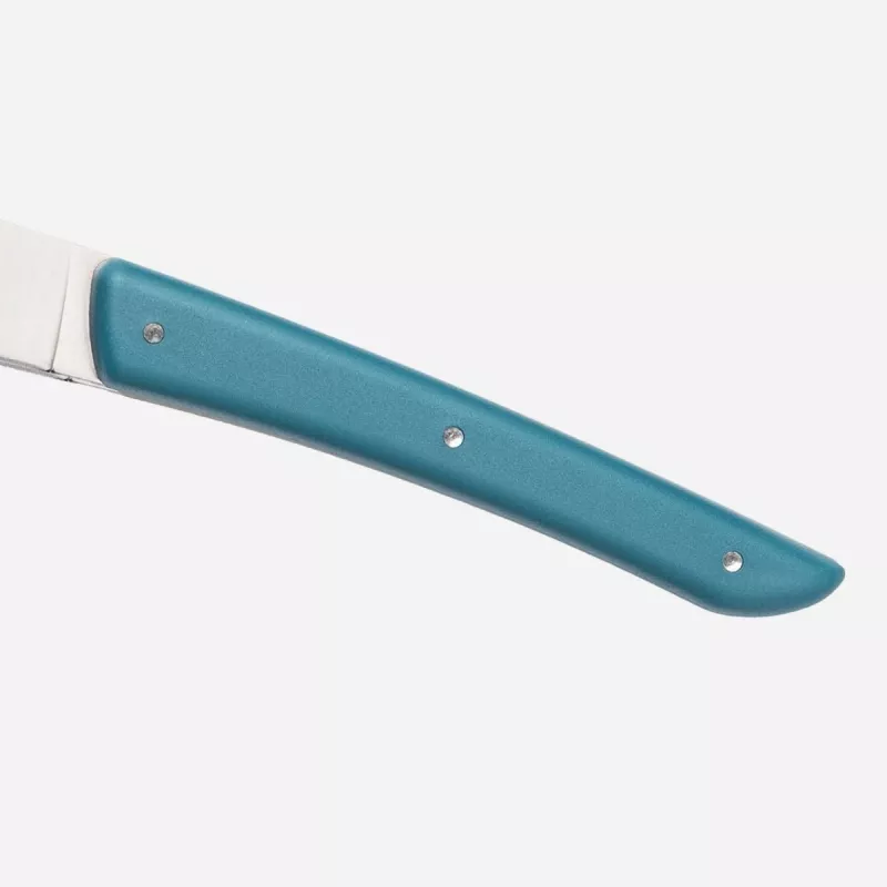 Steak knife Berkel KCO4SW11SRPBL Nerūdijantis plienas 4 vnt. 11 cm ašmenys