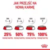 Sausas kačių maistas Royal Canin Kitten 2 kg — paukštienos (vištienos) formulė, baltymai 36%, riebalai 18%