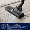 Drum vacuum Electrolux EB61C1OG 850W 3,5 L dulkių maišelis, teleskopinis plieno vamzdis, EPA12, 12 m veikimo spindulys