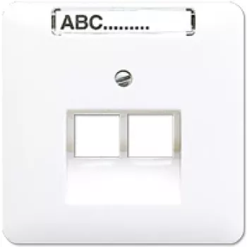 Sieninis RJ-45 lizdas Jung CD 569-2 NAUA WW — baltas termoplastinis tinklo lizdas