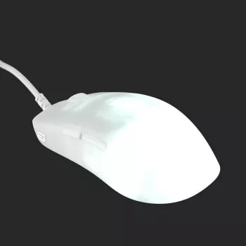 Endgame Gear OP1 RGB pelė Žaidimų Dešiniarankiams USB Type-A Optinė 26000 DPI