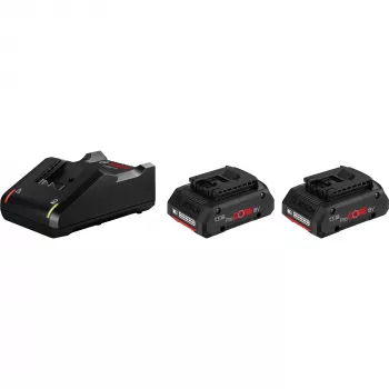 Bosch 1 600 A01 BA3 belaidžių įrankių baterija / įkroviklis Baterijos ir įkroviklio rinkinys