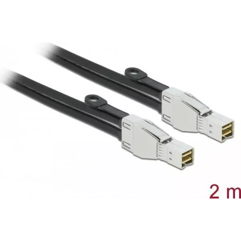 PCI Express kabelis DeLOCK Mini SAS HD SFF-8674 į SFF-8674 2 m