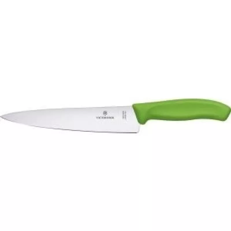 Virtuvinis peilis Victorinox SwissClassic 6.8006.19L4B