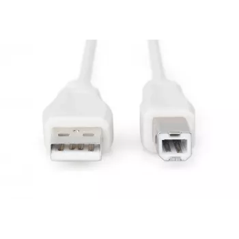 Assmann USB jungiamasis kabelis, A–B tipo, kištukas/kištukas, 3,0 m, USB 2.0, UL, smėlio spalvos (AK-300102-030-E)