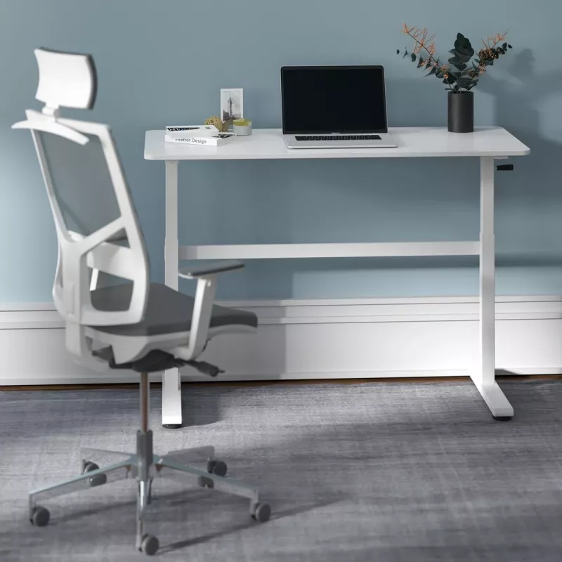 Rankinio aukščio reguliavimo stalas Ergo Office, maks. 40 kg, maks. aukštis 117 cm, su stalviršiu darbui stovint ir sėdint, ER-401 W