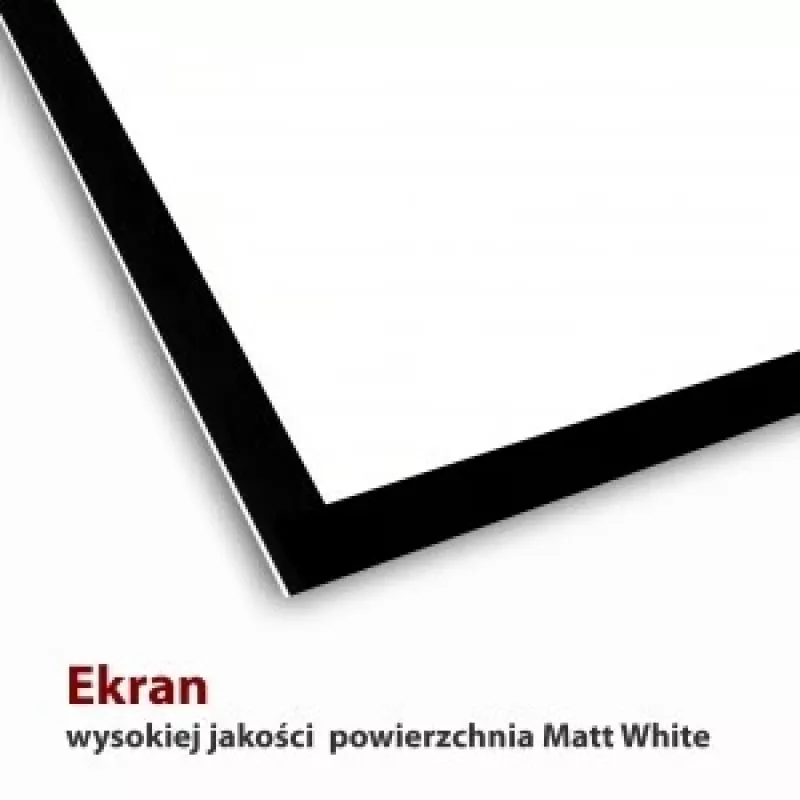 Elektrinis ekranas 16:9 119 su nuotolinio valdymo pultu 264x147cm FS-119 16 9