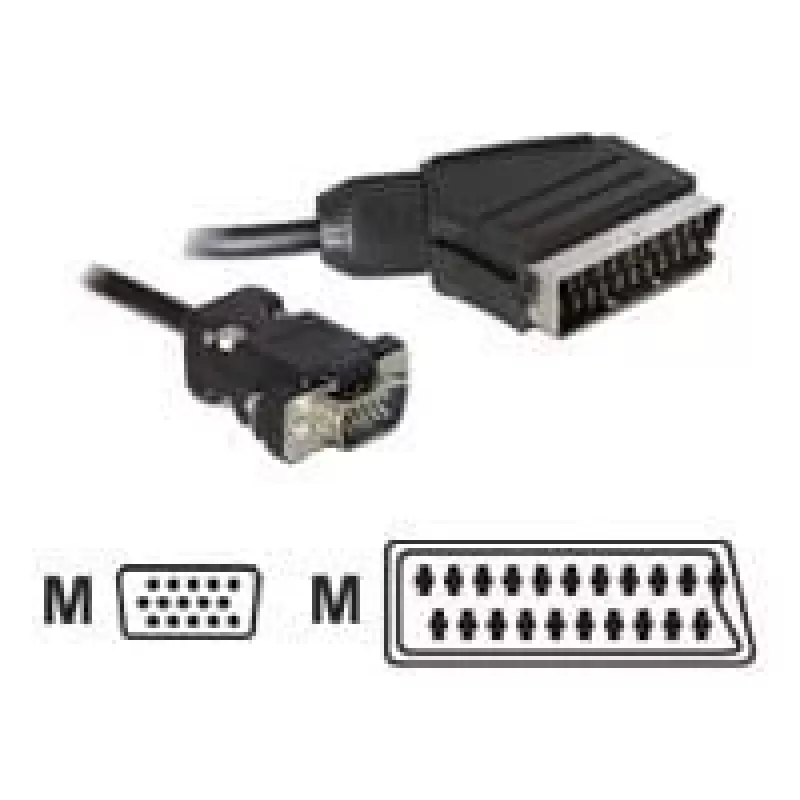 Vaizdo kabelio adapteris DeLOCK 65028 SCART (21 kontaktų) į VGA (D-Sub) 2 m