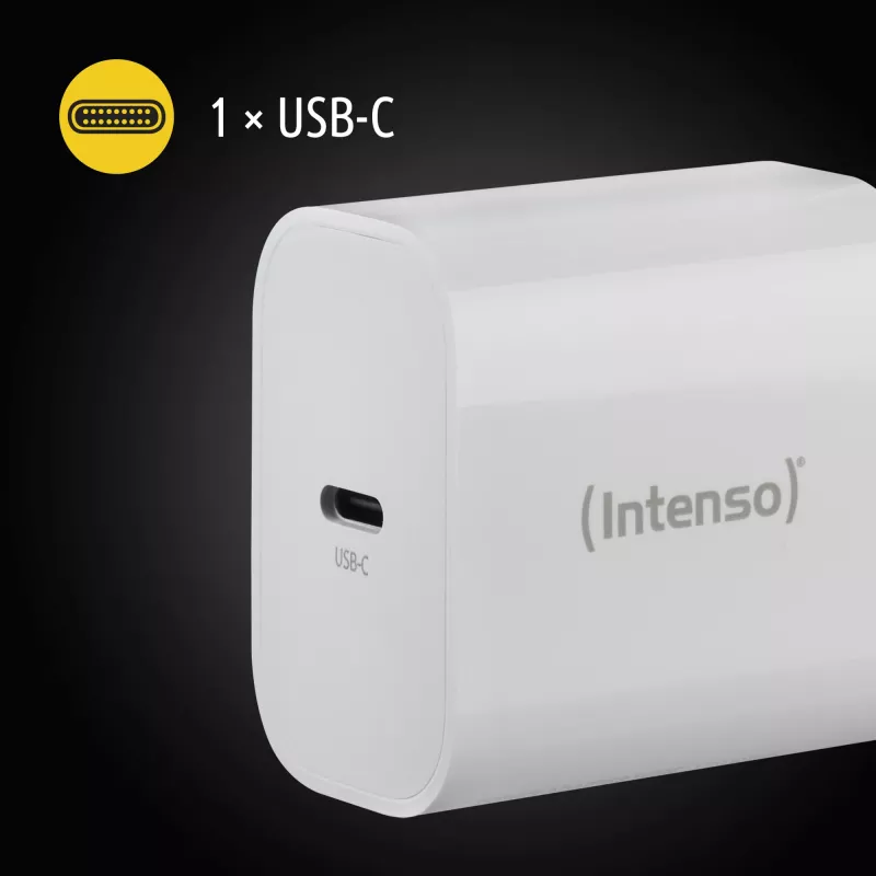 Kroviklis vidaus Intenso POWER ADAPTER USB-C/7802012