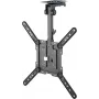 Goobay TV-Ceiling Mount Basic (M), juoda (70824)