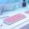 Glorious PC Gaming Race GMMK ABS Doubleshot V2 UK bazinis rinkinys - rožinė (GLO-KC-ABS-UKKIT-P)