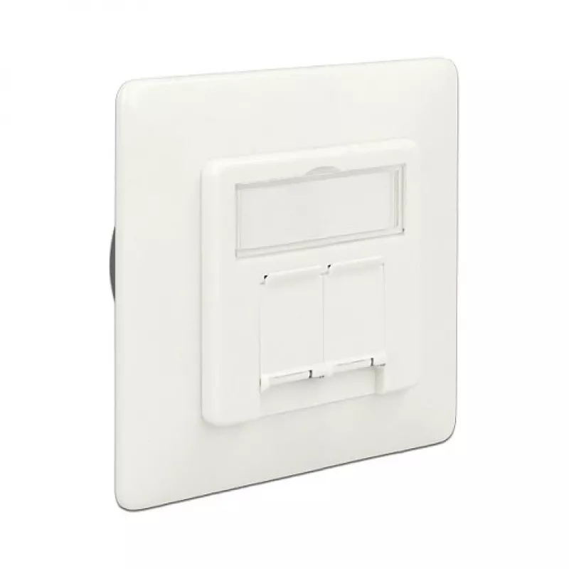 RJ-45 lizdas DeLOCK 86195